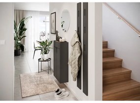 Armadietto color antracite 56x97x22 cm Ameca – Germania