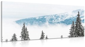 Stampa su tela – Alberi di pino innevati