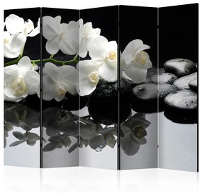 Paravento Pietre e orchidea II (5 parti) - fiori bianchi su sfondo nero