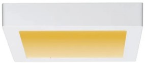 Paulmann 79796 - Plafoniera LED/13W CARPO 230V 2300-3000K