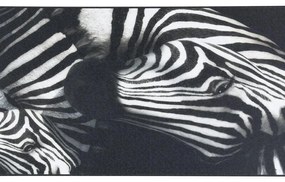 Tappeto Bista Bw04 Zebra natura in eva (etilene vinil acetato) multicolore - stampato, L 240 x L 50 cm