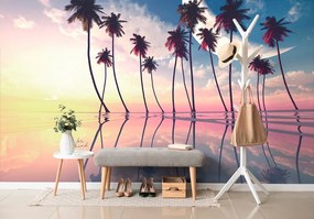 Carta da parati – Tramonto sopra palme tropicali