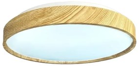 Plafoniera LED dimmerabile OPAL LED/36W/230V 3000-6500K + telecomando