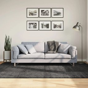 Tappeto Shaggy Pamplona Pelo Lungo Moderno Antracite 160x230cm /
