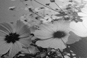 Stampa su tela – Prato di fiori primaverili in bianco e nero