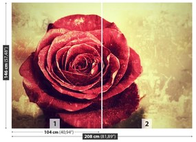 Carta da parati Rosa rossa 104x70 cm