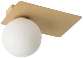 Plafoniera ARGON 1xG9/12W/230V oro