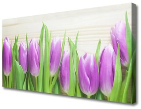 Quadro stampa su tela Tulipani, fiori, natura 100x50 cm