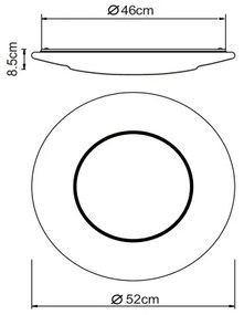 Globo 48311-24 - Lampada LED da soffitto CANDIDA LED/24W/230V