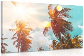 Stampa su tela – Raggi di sole tra le palme
