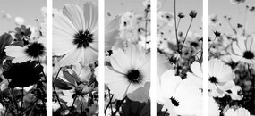 Quadri 5 pezzi – Prato di fiori primaverili in bianco e nero