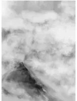 Coordonne Carta da parati panoramica Bruma - Storm