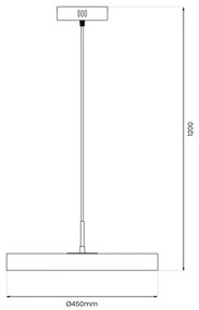 Lampadario LED a sospensione con filo DISC LED/38W/230V diametro 45 cm nero