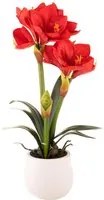 Amaryllis Artificiale con Vaso Altezza 64 cm Rosso