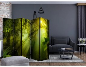 Paravento   In a Secret Forest II II [Room Dividers]  Colore ---, Dimensioni e Misure 225x172