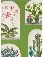Sanderson Carta da parati Terrariums - Botanical Green/ Multi