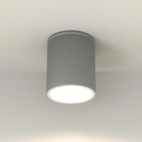 Applique da soffitto Cilindrica PAR30 IP54 in Alluminio e Vetro - Grigia