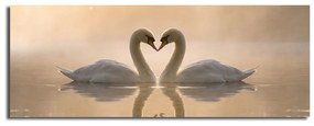 L'immagine su tela Swan Love, 90 x 30 cm - Wallity