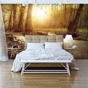 Fotomurale adesivo  Sunny Current  Larghezza x Altezza Home decor 147x105