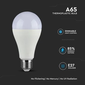 Lampadina LED dimmerabile SAMSUNG CHIP A65 E27/17W/230V 6400K