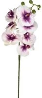 Set 6 Phalaenopsis Artificiali con 7 Fiori Altezza 96 cm