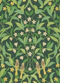 Cole & Son Carta da parati Jasmine & Serin Simphony - Yellow on Dark Forest Green