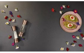 Cole&Mason - Set di macinini per sale e pepe DERWENT 2 pezzi 19 cm rame