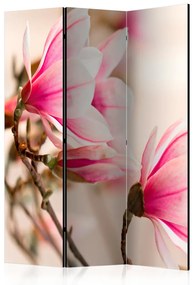 Paravento Ramo di magnolia (3 parti) - fiori pittoreschi, sfondo chiaro