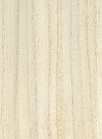 CMO Paris Carta da parati Bois - Blanc