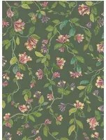 Cole & Son Tapete Flora - Fuchsia on Racing Green