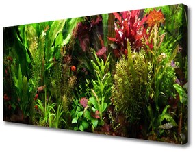 Quadro su tela Pianta, fiori, natura 100x50 cm