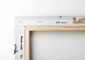 Stampa su tela – Natura morta rustica