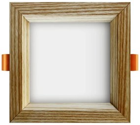 APLED - Lampada LED SQUARE WOODLINE LED/6W/230V 4000K 12x12 cm cenere legno solido