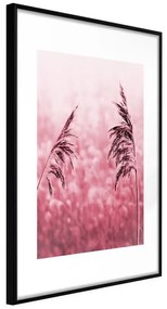 Poster  Amaranth Meadow  Cornice Quadri Cornice nera, Larghezza x Altezza Home decor 40x60