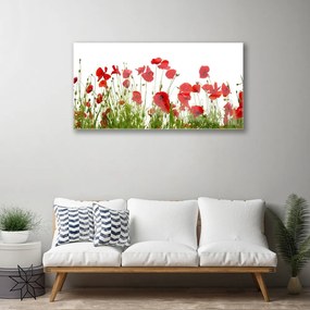 Quadro acrilico Papaveri, fiori, natura 100x50 cm