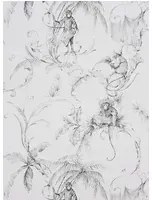 Nina Campbell Carta da parati Barbary Toile - Charcoal