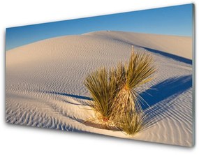 Rivestimento parete cucina Paesaggio di sabbia del deserto 140x70 cm