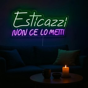 Insegna luminosa Esticazzi, da appendere