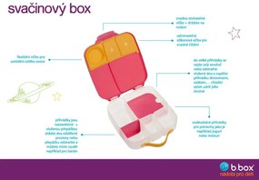 Box porta merenda grande – indaco/rosa
