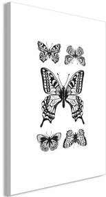 Quadro Five Butterflies (1 Part) Vertical  Colore bianco e nero, Dimensioni e Misure 40x60