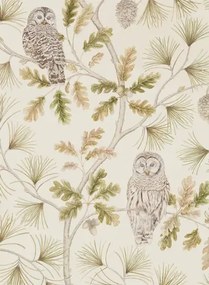 Eulen Tapete Owlswick von Sanderson - Briarwood