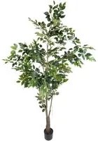 Pianta Artificiale Ficus con Vaso H 213 cm