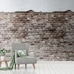 Fotomurale  Cortina1 , multicolor 159 x 280 cm