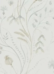 Florale Tapete Summer Harvest von Sanderson - Silver/ Chalk