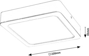 Rabalux 3176 - Plafoniera LED SHAUN LED/24W/230V 22 cm