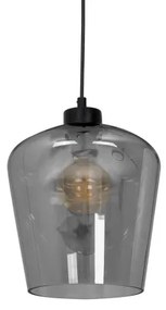Lampadario su filo SANTIAGO 1xE27/60W/230V nero