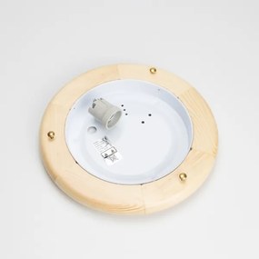 Rabalux 5411 - Plafoniera UFO 1xE27/60W/230V