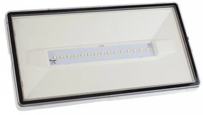 Lampada Emergenza 12W LED 732lm IP65 AutoTest funzione SE / SA, Bianca Colore del corpo Bianco