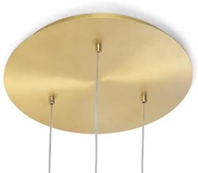 X-ray montatura per composizione 3 luci