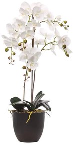 Composizione di piante artificiali senza vaso Phalaenopsis in pvc colore rosa H 40